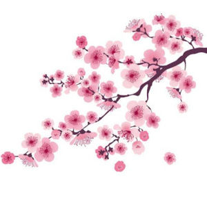 Meet your Posher, Maxine